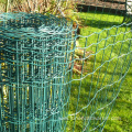 4" X 2" Pvc Coated Welded Wire Mesh / Green Pvc Coated Holland Wire Mesh Fence